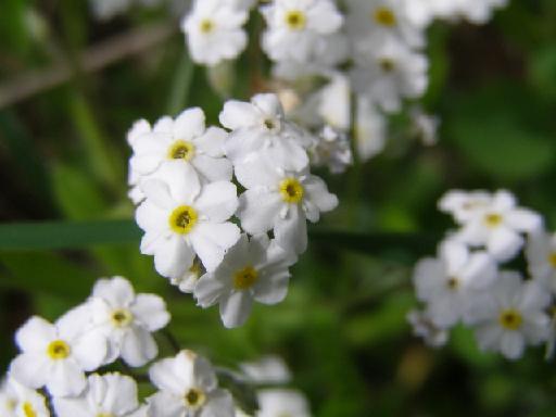 19 P5210312 